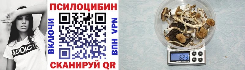 Псилоцибиновые грибы Psilocybe  Севастополь 