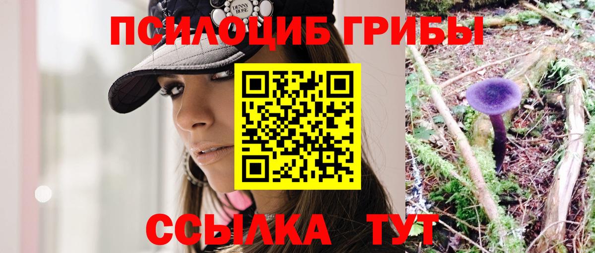 Севастополь  Псилоцибиновые грибы Psilocybine cubensis  Вход с VPN 