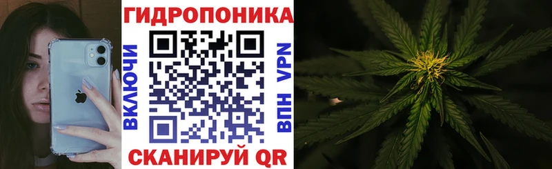 наркотики  Севастополь  hydra рабочий сайт  Бошки марихуана планчик 